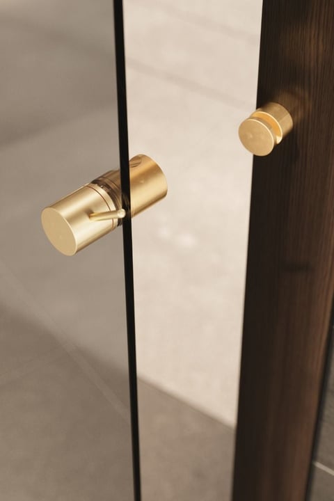 Brass door knobs mounted on a black-framed glass door with white panel background